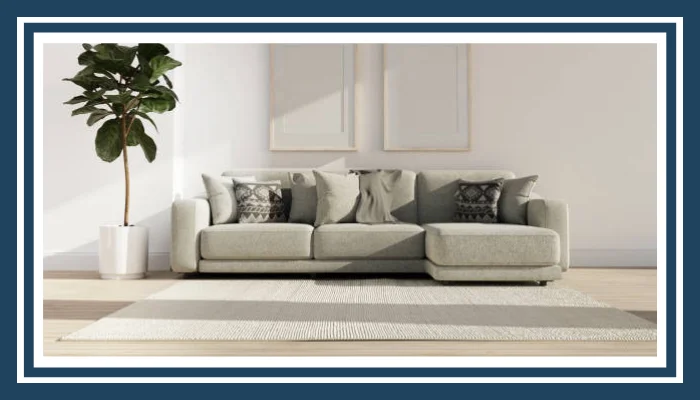 Upholstery Cleaning