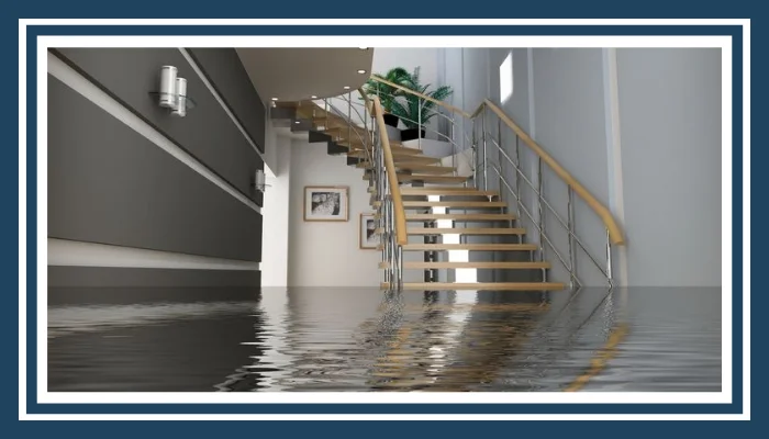 Water & Fire Damage