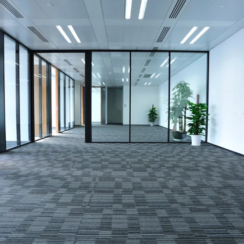 Carpet Cleaning