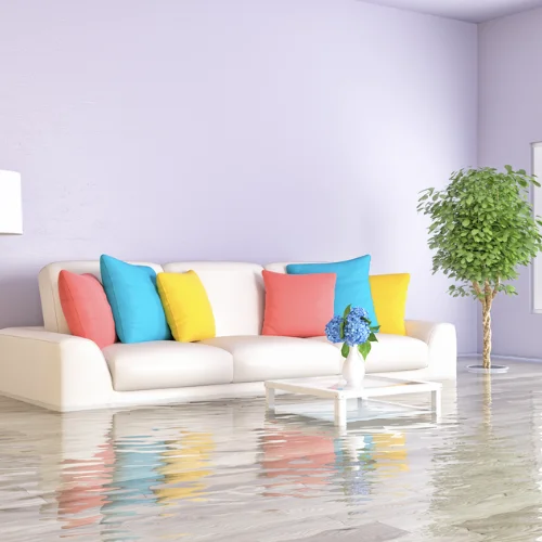 Water & Fire Damage